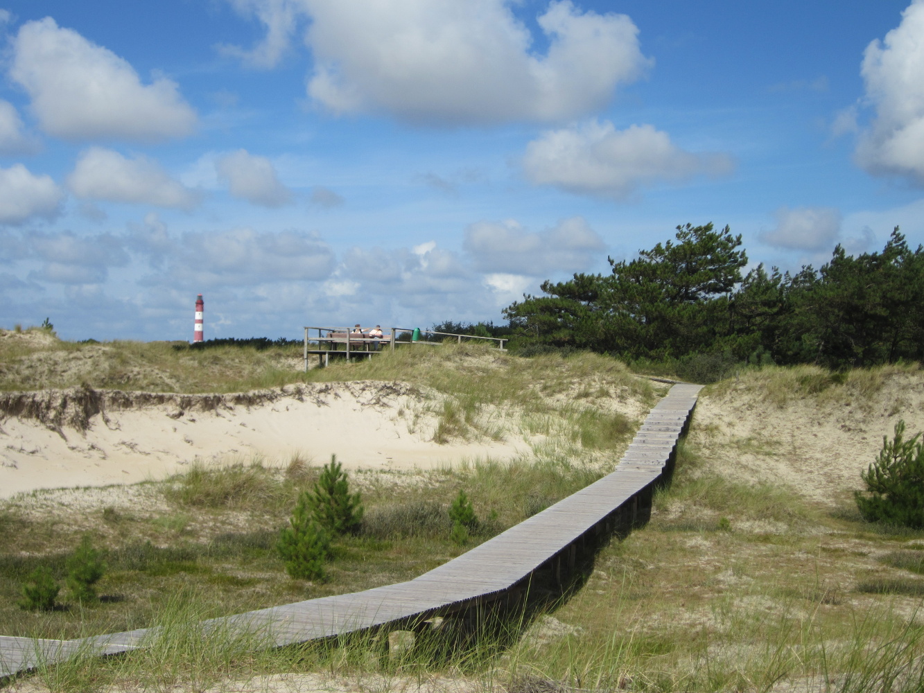 Duenen