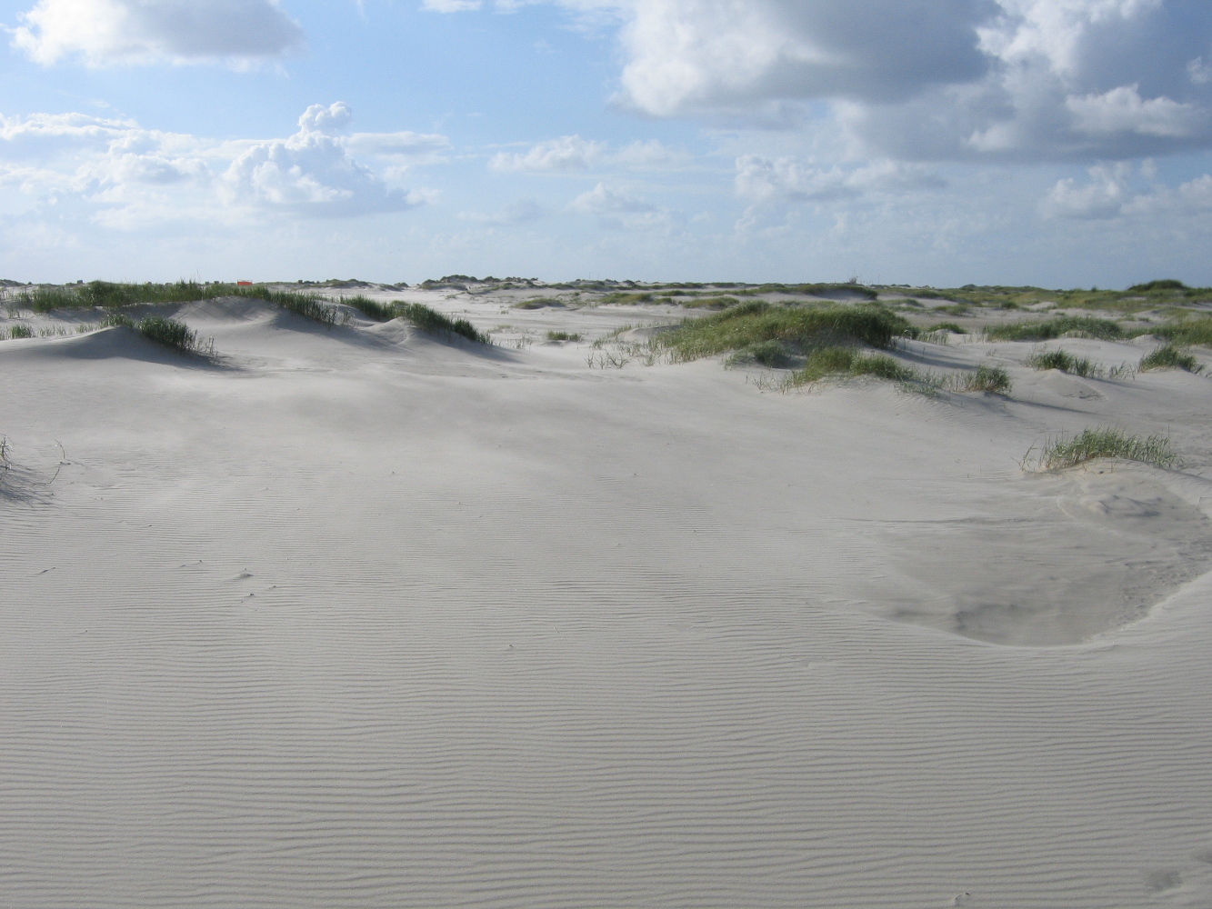 Duenen
