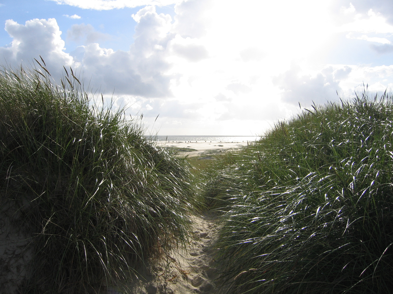 Strand