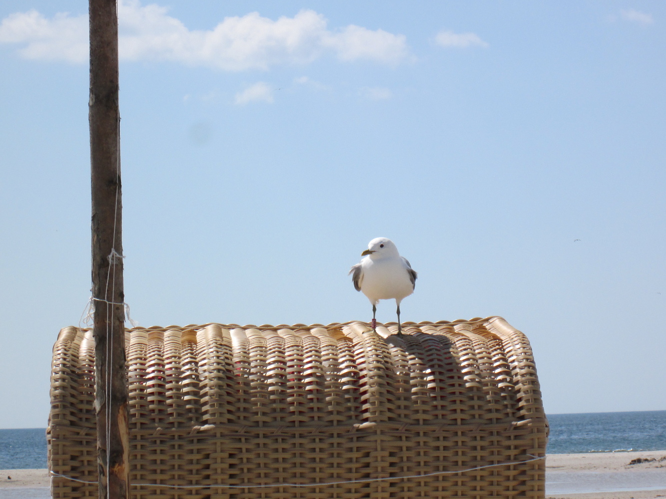 Strand