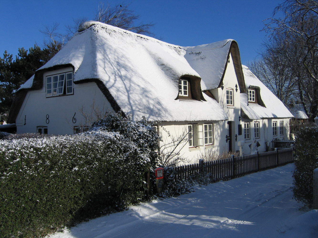 Winter