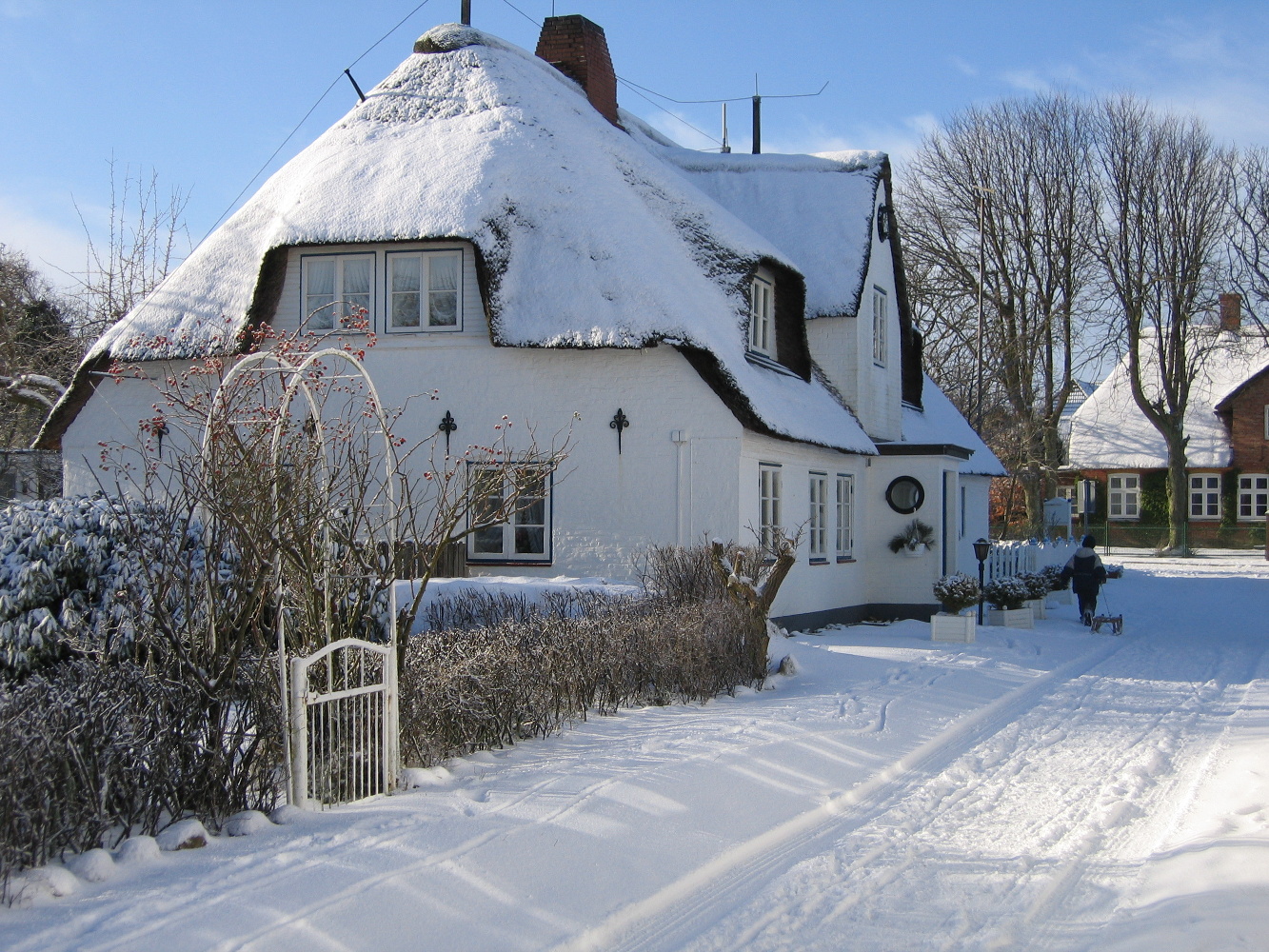 Winter