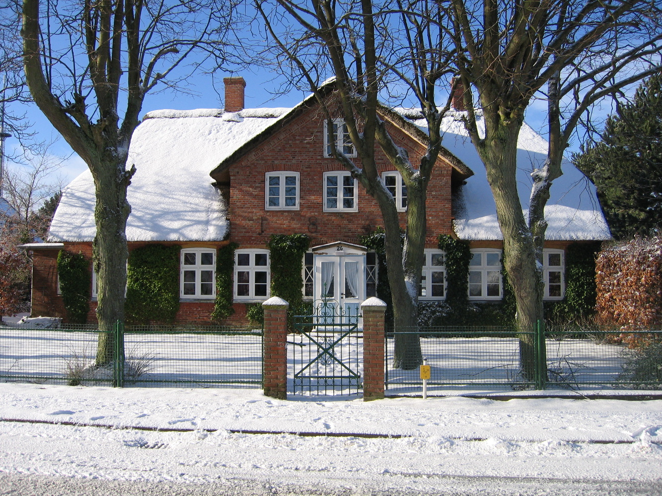 Winter